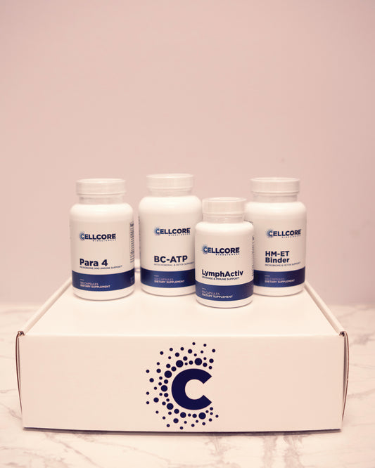 KIT #4