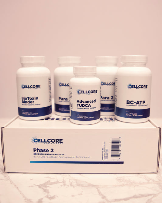 KIT #2