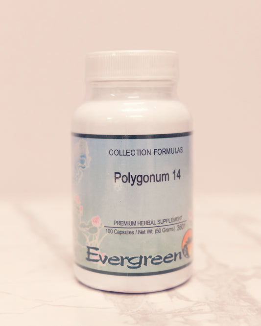Polygonum